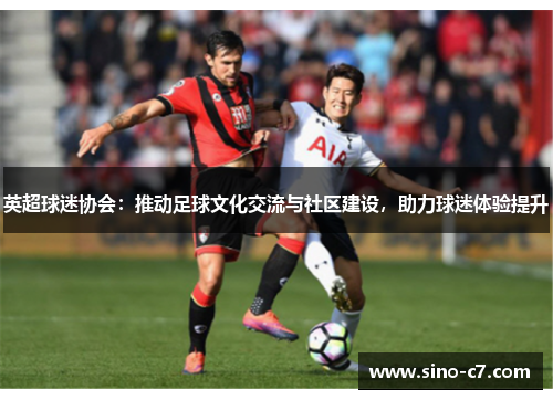 英超球迷协会：推动足球文化交流与社区建设，助力球迷体验提升