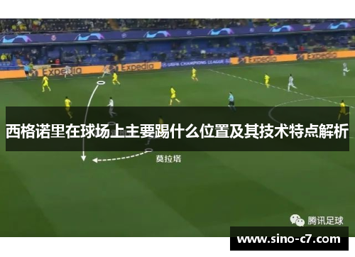 西格诺里在球场上主要踢什么位置及其技术特点解析