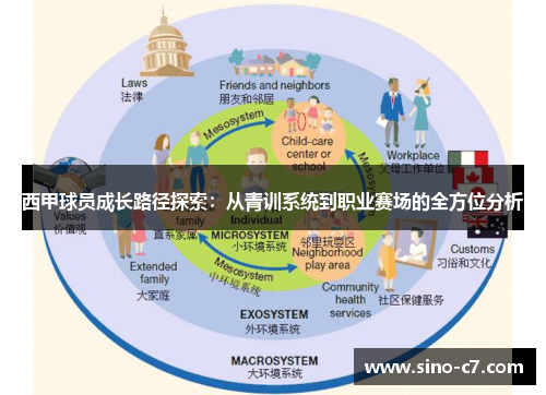 西甲球员成长路径探索：从青训系统到职业赛场的全方位分析