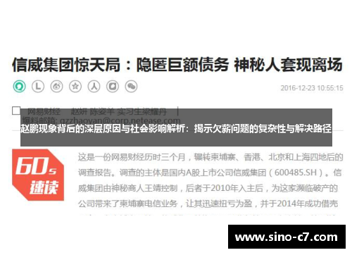 赵鹏现象背后的深层原因与社会影响解析：揭示欠薪问题的复杂性与解决路径