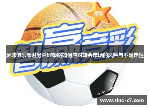 足球俱乐部财务管理策略如何应对转会市场的风险与不确定性