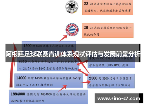 阿根廷足球联赛青训体系现状评估与发展前景分析