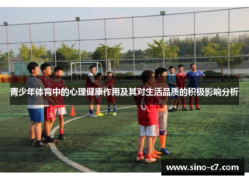 青少年体育中的心理健康作用及其对生活品质的积极影响分析 青少年体育中的心理健康作用及其对生活品质的积极影响分析