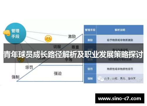 青年球员成长路径解析及职业发展策略探讨 青年球员成长路径解析及职业发展策略探讨