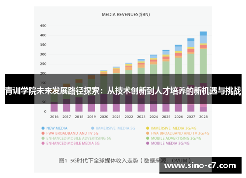 青训学院未来发展路径探索：从技术创新到人才培养的新机遇与挑战