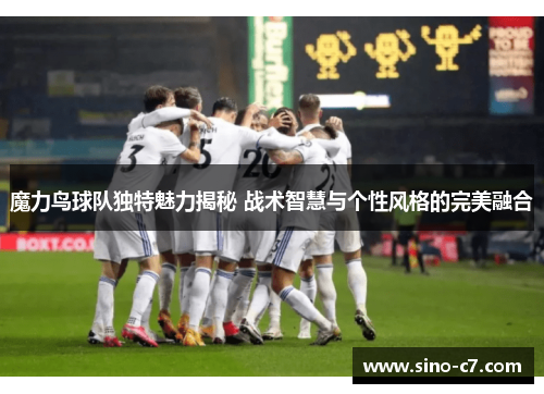 魔力鸟球队独特魅力揭秘 战术智慧与个性风格的完美融合