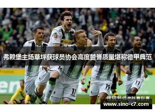 弗赖堡主场草坪获球员协会高度赞誉质量堪称德甲典范 弗赖堡主场草坪获球员协会高度赞誉质量堪称德甲典范